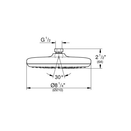 GROHE 26410000 - Duschhuvud TEMPESTA 210 mm, blank krom