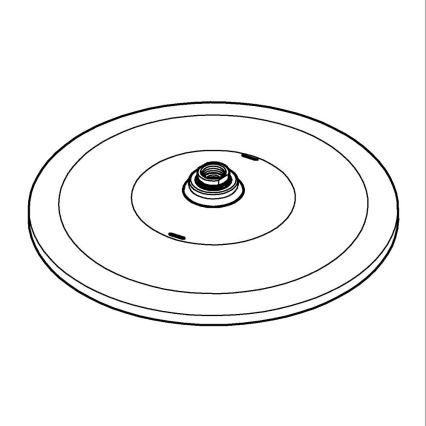 GROHE 26569000 - RAINSHOWER takdusch 310 mm, blank krom