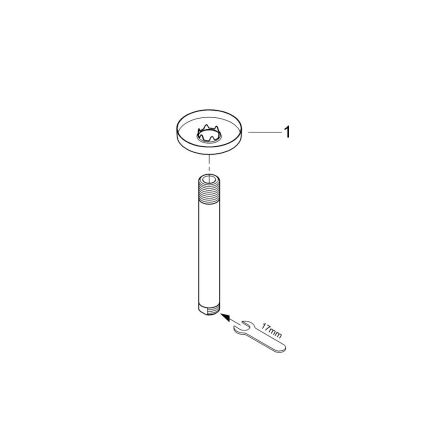 GROHE 28724000 - Duscharm RAINSHOWER 142 mm polerad krom