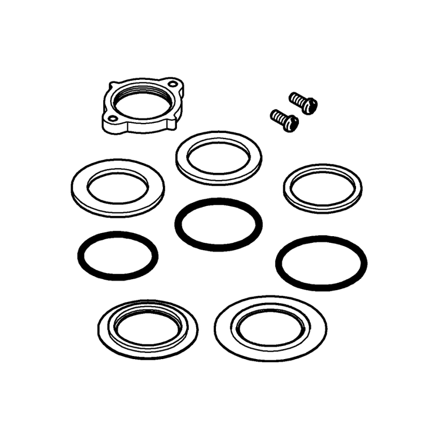 GROHE 48384000 - Insatsfäste i blank krom