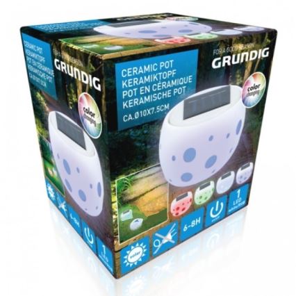 Grundig - LED Solcellsbelysning 2xLED/0,06W/1,2V