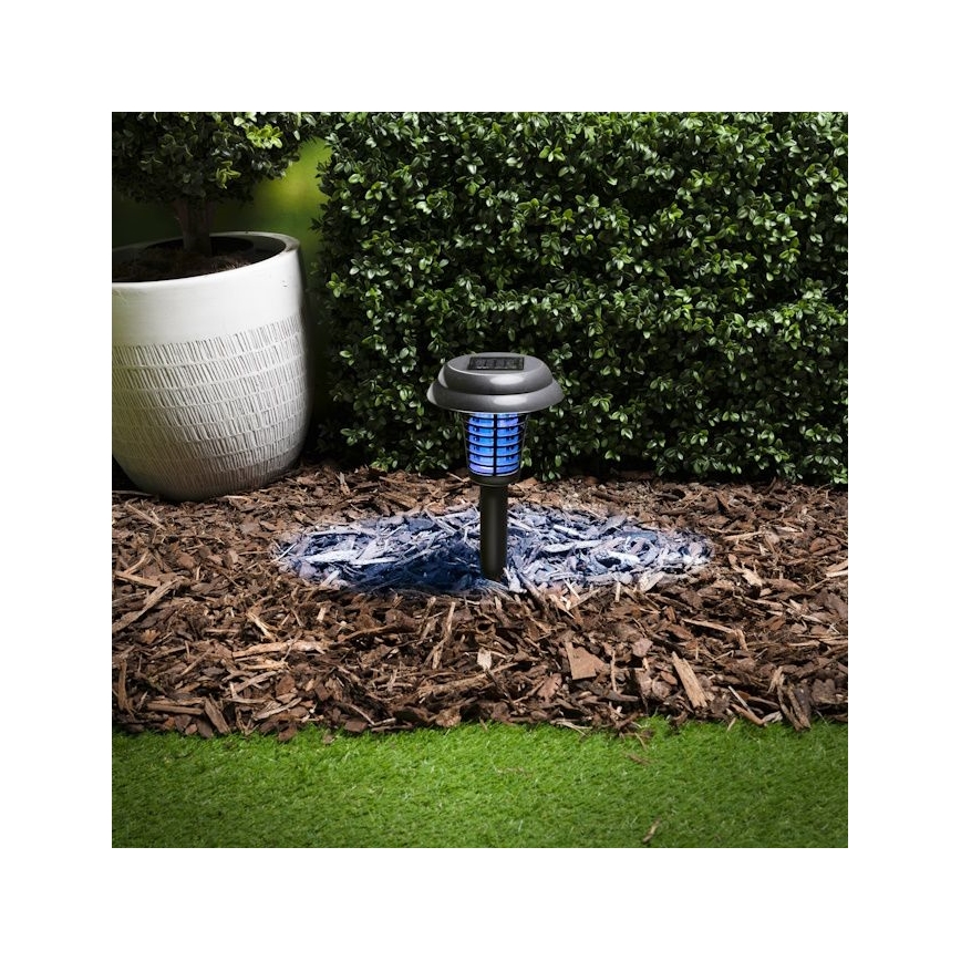 Grundig - LED-solcellslampa och insektsfälla UV-LED/1xAA 600 mAh IPX4