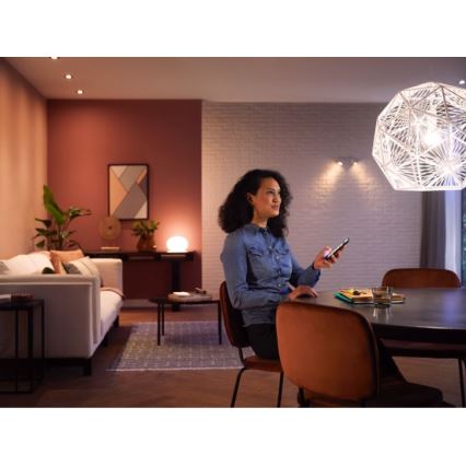 Grundläggande uppsättning  Philips Hue WHITE 2xE27/9,5W 2700K + en enhet för att ansluta