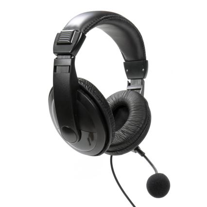 Headphones with a microphone USB svart