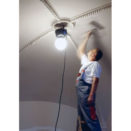 Helios 306-WLG223 - LED Utomhusbelysninging Arbete Glob 2 LED/23W/230V IP44