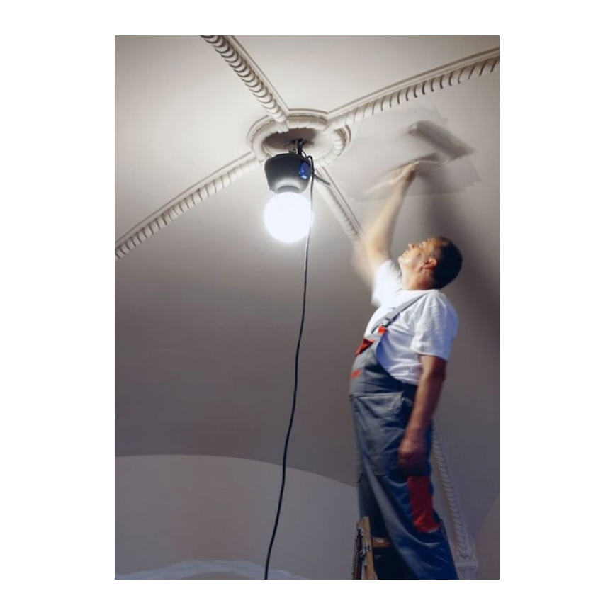 Helios 306-WLG223 - LED Utomhusbelysninging Arbete Glob 2 LED/23W/230V IP44