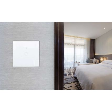 Hem Strömbrytare 1000W/230V Wi-Fi Tuya