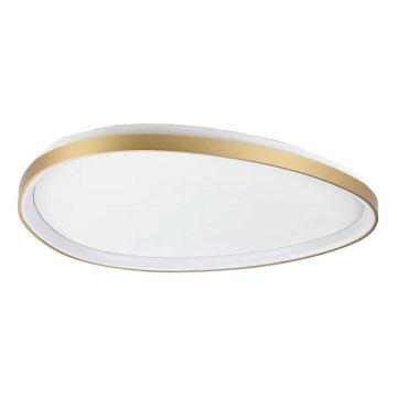Ideal Lux - LED Dimbar taklampa GEMINI LED/42W/230V diameter 81 cm CRI 90 guld