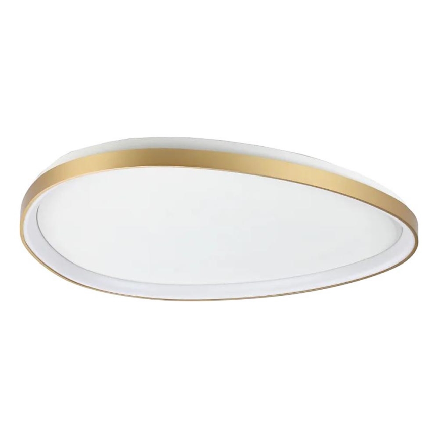 Ideal Lux - LED Dimbar taklampa GEMINI LED/42W/230V diameter 81 cm CRI 90 guld