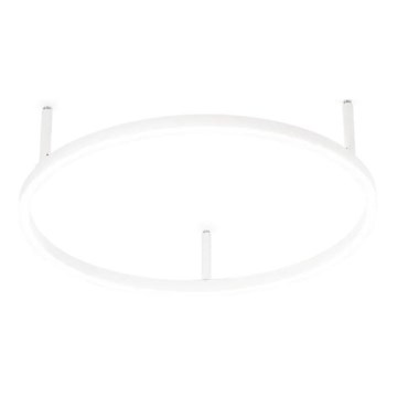 Ideal Lux - LED takarmatur ORACLE SLIM LED/29W/230V 4000K CRI 90 Ø 50 cm vit