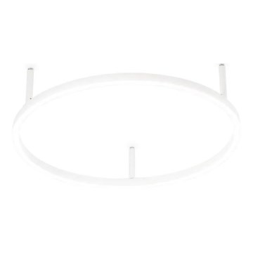 Ideal Lux - LED-taklampa ORACLE SLIM, 29 W, 230 V, 2700 K, CRI 90, Ø 50 cm, vit