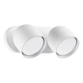 Ideal Lux - LED väggspotlight DODO 2xGX53/9W/230V vit