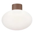 Ideal Lux - Utomhustaklampa CLIO 1xE27/42W/230V IP44 brun