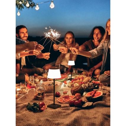 LED Ljusreglerad utomhus solcell lampa med sensor LED/4W/5V IP44