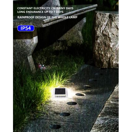 LED Utomhus solcell belysning med sensor LED/0,03W/1,2V IP54 800 mAh