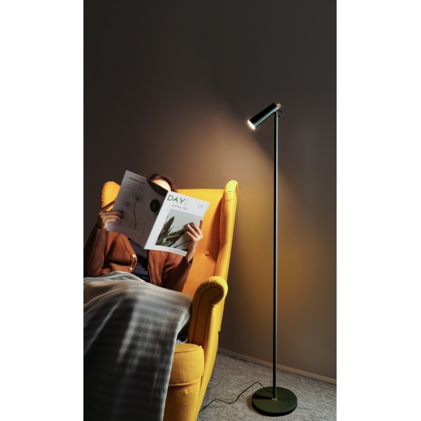 LED Dimbar golvlampa TIT LED/6W/230V svart