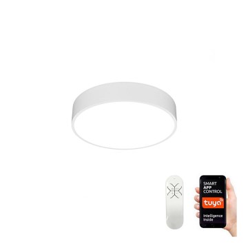 Immax NEO 07024L – LED Dimbar Takbelysning RONDATE LED/25W/230V + Fjärrstyrd