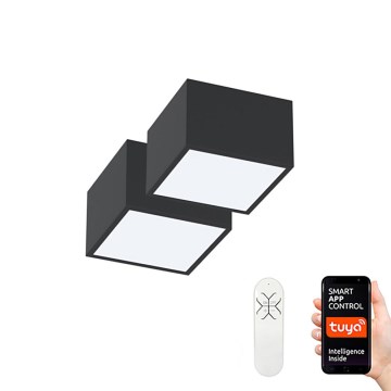 Immax Neo 07074L-15BD - Kit 2x LED Dimbar taklampa CANTO 2xLED/12W/230V + fjärrkontroll Tuya