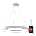 Immax NEO 07079L-80 - Dimbar LED-lampakrona med snöre LIMITADO LED/48W/230V 80 cm