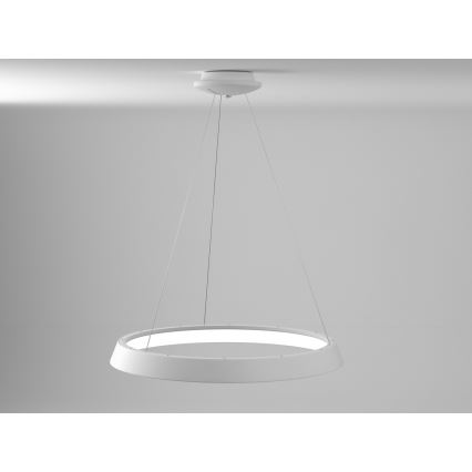 Immax NEO 07079L-80 - Dimbar LED-lampakrona med snöre LIMITADO LED/48W/230V 80 cm