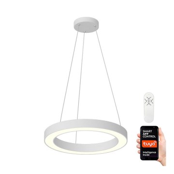 Immax NEO 07091L - Dimbar LED-lampakrona med snöre PASTEL LED/52W/230V 60 cm vit