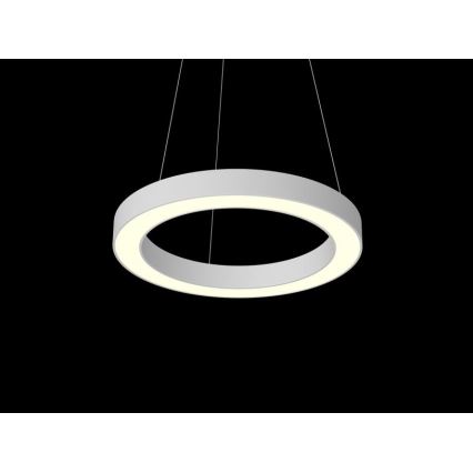 Immax NEO 07091L - Dimbar LED-lampakrona med snöre PASTEL LED/52W/230V 60 cm vit