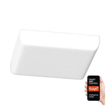 Immax NEO 07110K - LED Dimbar infälld Badrumbelysning PRACTICO LED/24W/230V