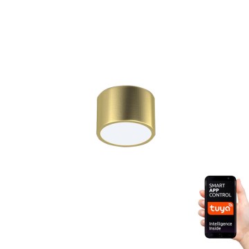 Immax Neo 07127L - LED Dimbar Takbelysning RONDATE LED/12W/230V Tuya