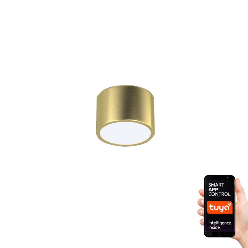 Immax Neo 07127L - LED Dimbar Takbelysning RONDATE LED/12W/230V Tuya