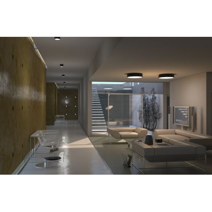 Immax NEO 07143-GR15BD - UPPSÄTTNING 2x LED ljusreglerad taklampa  RONDATE LED/12W/230V Tuya grå + fjärrkontroll