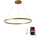 Immax NEO 07159-G80 - LED ljusreglerad ljuskrona på snöre FINO LED/60W/230V Tuya gyllene + fjärrkontroll