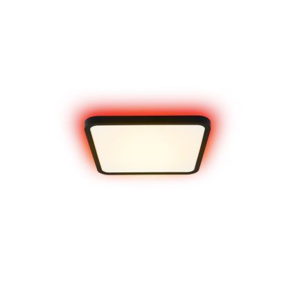 Immax NEO 07167-B40 - LED RGB+CCT Ljusreglerad taklampa NEO LITE TUDO LED/50W/230V Wi-Fi Tuya svart + fjärrkontroll