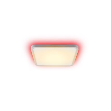 Immax NEO 07168-W40 - LED RGB+CCT Dimbar taklampa NEO LITE TUDO LED/50W/230V Wi-Fi Tuya vit + fjärrkontroll