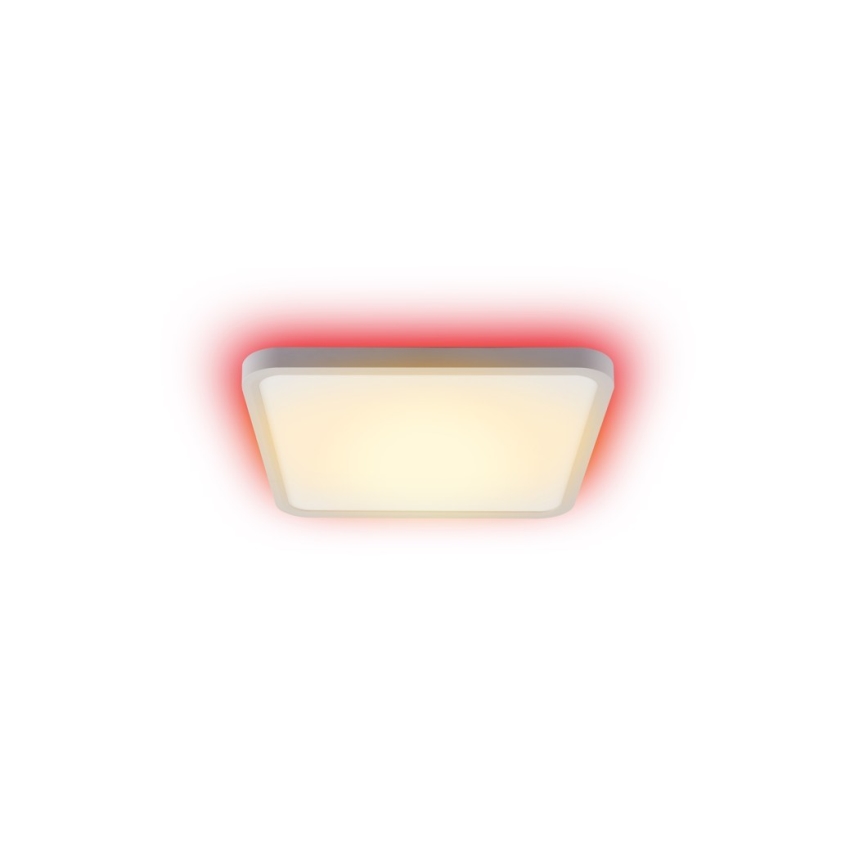 Immax NEO 07168-W40 - LED RGB+CCT Ljusreglerad taklampa NEO LITE TUDO LED/50W/230V Wi-Fi Tuya vit + fjärrkontroll