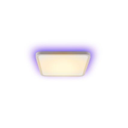 Immax NEO 07168-W40 - LED RGB+CCT Ljusreglerad taklampa NEO LITE TUDO LED/50W/230V Wi-Fi Tuya vit + fjärrkontroll