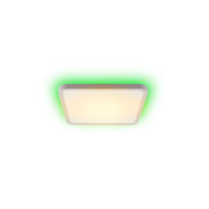 Immax NEO 07168-W40 - LED RGB+CCT Ljusreglerad taklampa NEO LITE TUDO LED/50W/230V Wi-Fi Tuya vit + fjärrkontroll