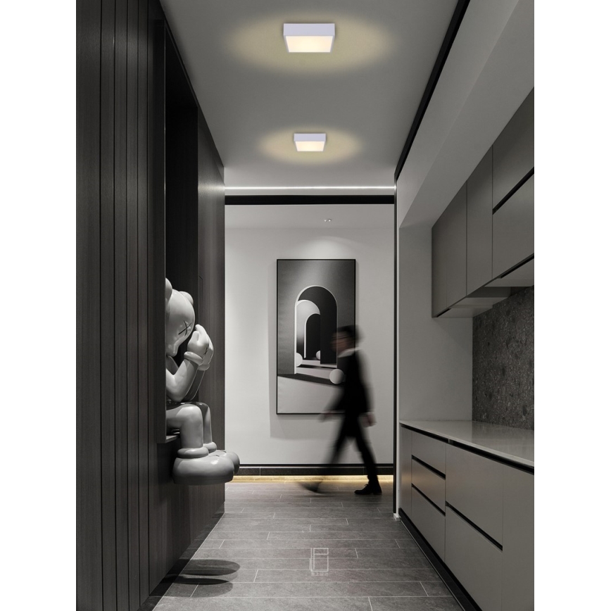 Immax NEO 07238L - LED Dimbar taklampa CANTO LED/22W/230V vit Tuya + fjärrkontroll