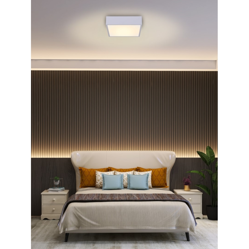 Immax NEO 07238L - LED Dimbar taklampa CANTO LED/22W/230V vit Tuya + fjärrkontroll