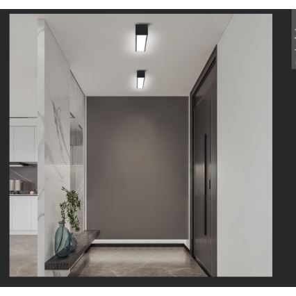 Immax NEO 07254L - LED Dimbar taklampa NEO LITE LUNGO LED/20W/230V 3000-6000K Wi-Fi Tuya svart + fjärrkontroll