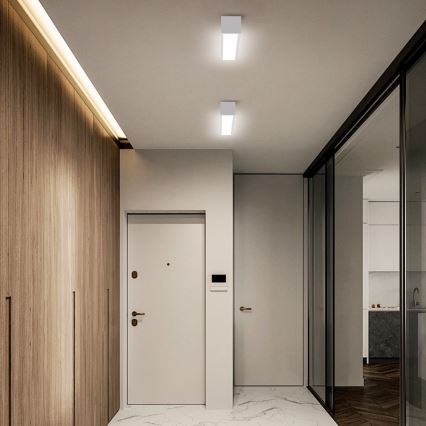 Immax NEO 07257L - LED Dimbar taklampa NEO LITE LUNGO LED/20W/230V 3000-6000K Wi-Fi Tuya vit + fjärrkontroll