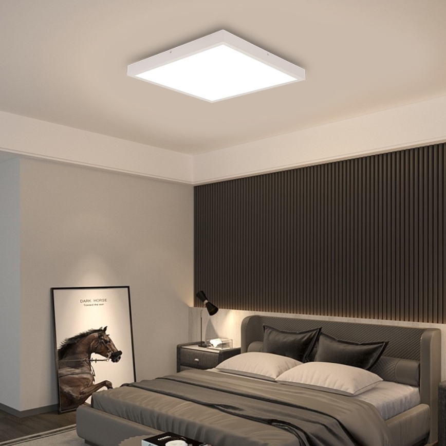 Immax NEO 07277L - LED ljusreglerad taklampa till badrum NEO LITE FRAME LED/50W/230V IP44 Wi-Fi Tuya +remote kontroll vit