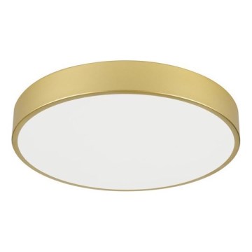 Immax NEO 07292L - LED+CCT Dimmbar takarmatur SEMPLICI LED/36W/230V 2700-6500K Ø 40 cm + fjärrkontroll