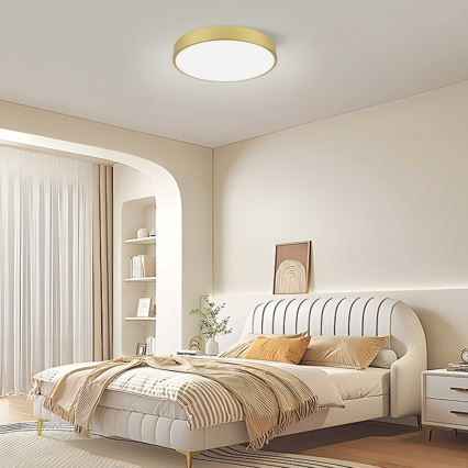 Immax NEO 07292L - LED+CCT Dimmbar takarmatur SEMPLICI LED/36W/230V 2700-6500K Ø 40 cm + fjärrkontroll