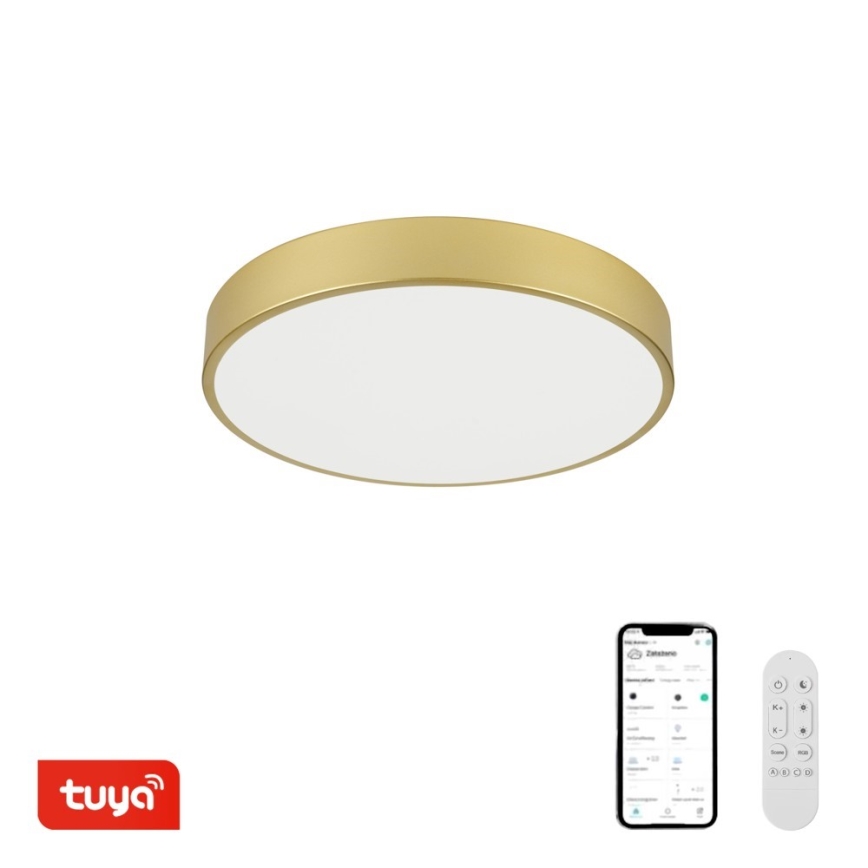 Immax NEO 07292L - LED+CCT Dimmbar takarmatur SEMPLICI LED/36W/230V 2700-6500K Ø 40 cm + fjärrkontroll