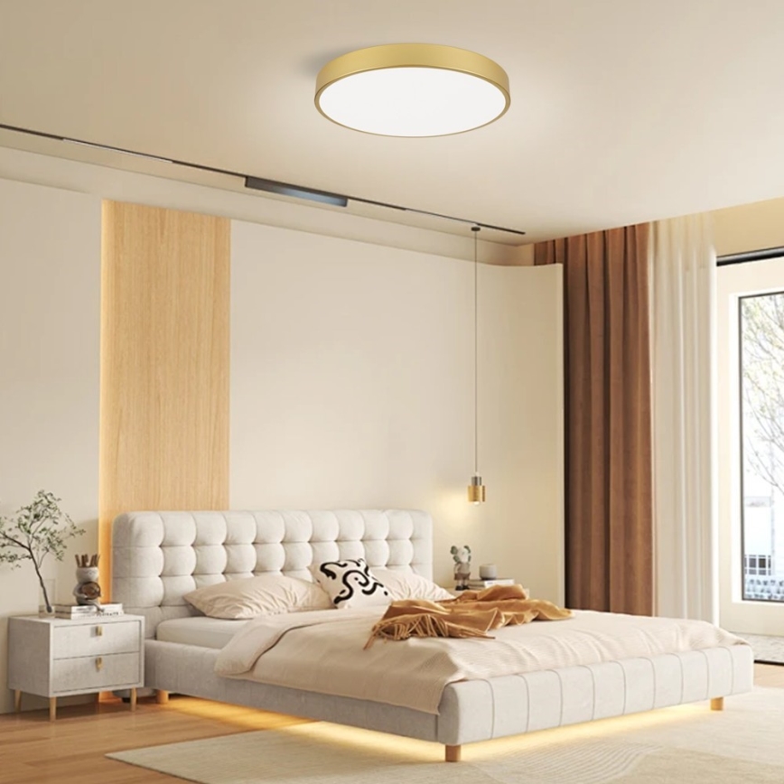 Immax NEO 07293L - LED+CCT Dimbart takarmatur SEMPLICI LED/60W/230V 2700-6500K Ø 60 cm + fjärrkontroll