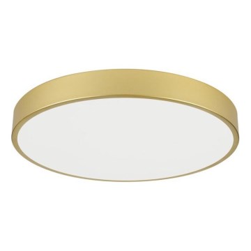 Immax NEO 07293L - LED+CCT Dimbart takarmatur SEMPLICI LED/60W/230V 2700-6500K Ø 60 cm + fjärrkontroll