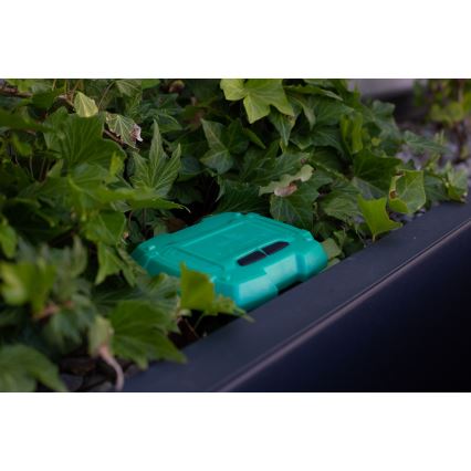 Immax NEO 07509L - Jordfuktighet och temperatursensor NEO LITE Wi-Fi 3xAAA IP65