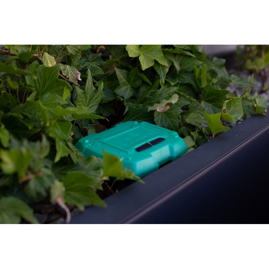 Immax NEO 07509L - Jordfuktighet och temperatursensor NEO LITE Wi-Fi 3xAAA IP65
