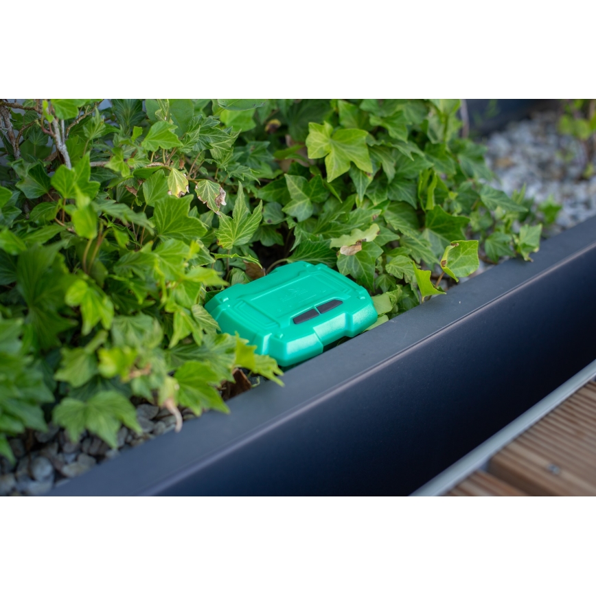 Immax NEO 07509L - Jordfuktighet och temperatursensor NEO LITE Wi-Fi 3xAAA IP65
