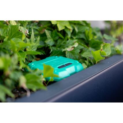 Immax NEO 07509L - Jordfuktighet och temperatursensor NEO LITE Wi-Fi 3xAAA IP65